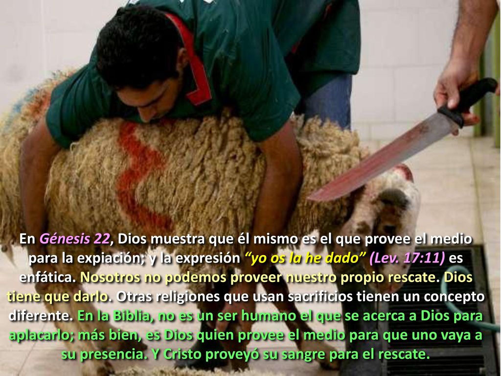 En Génesis 22, Dios muestra que él mismo es el que provee el medio para la expiación; y la expresión yo os la he dado (Lev.