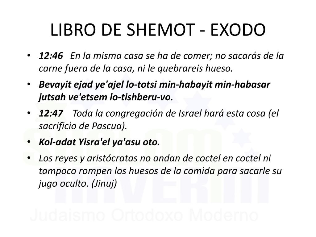 LIBRO DE SHEMOT - EXODO 12:46 En la misma casa se ha de comer; no sacarás de la carne fuera de la casa, ni le quebrareis hueso.