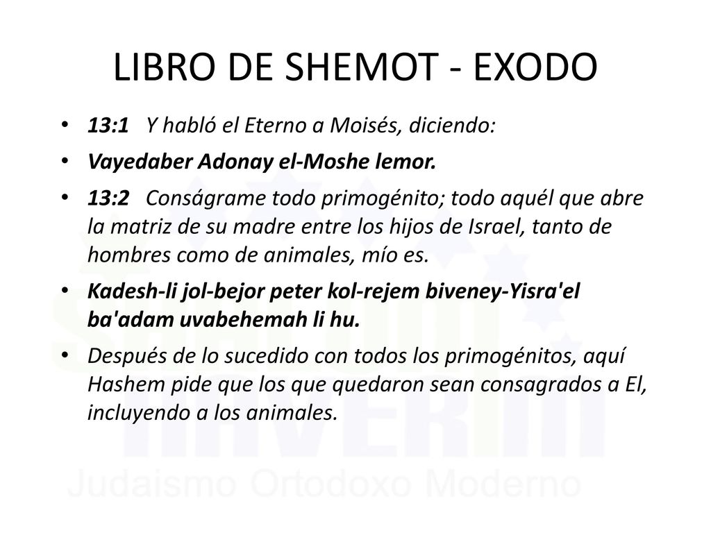 LIBRO DE SHEMOT - EXODO 13:1 Y habló el Eterno a Moisés, diciendo: