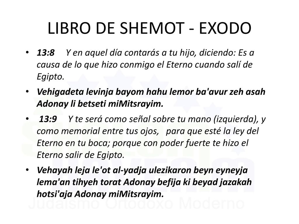 LIBRO DE SHEMOT - EXODO 13:8 Y en aquel día contarás a tu hijo, diciendo: Es a causa de lo que hizo conmigo el Eterno cuando salí de Egipto.