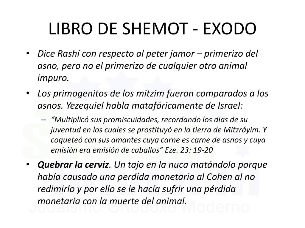 LIBRO DE SHEMOT - EXODO Dice Rashí con respecto al peter jamor – primerizo del asno, pero no el primerizo de cualquier otro animal impuro.