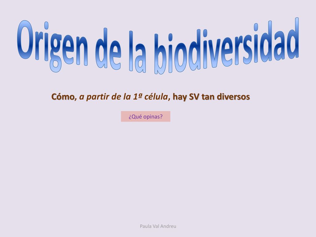 Cómo, a partir de la 1ª célula, hay SV tan diversos