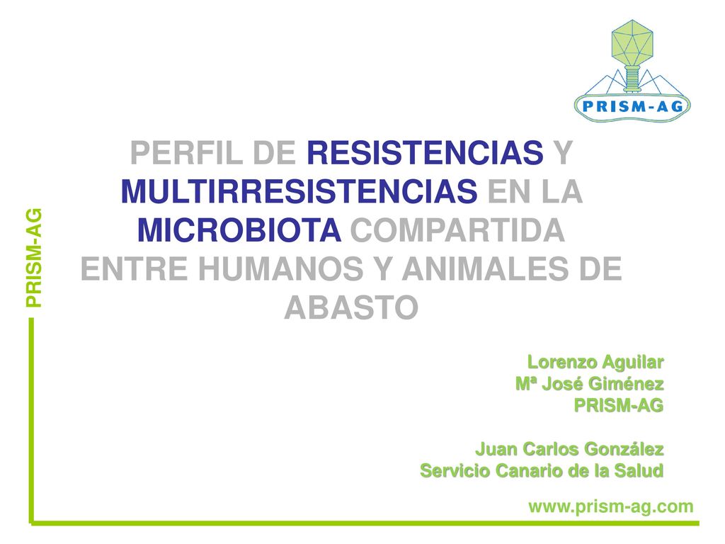 PERFIL DE RESISTENCIAS Y MULTIRRESISTENCIAS EN LA MICROBIOTA COMPARTIDA ENTRE HUMANOS Y ANIMALES DE ABASTO