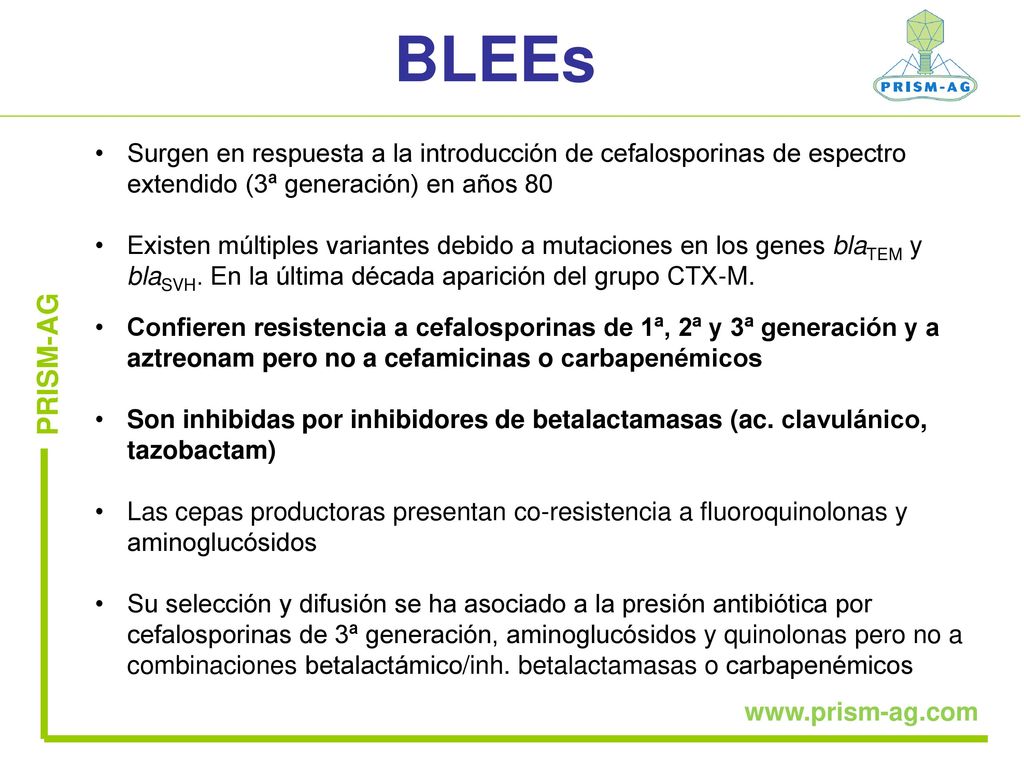 BLEEs Surgen en respuesta a la introducción de cefalosporinas de espectro extendido (3ª generación) en años 80.
