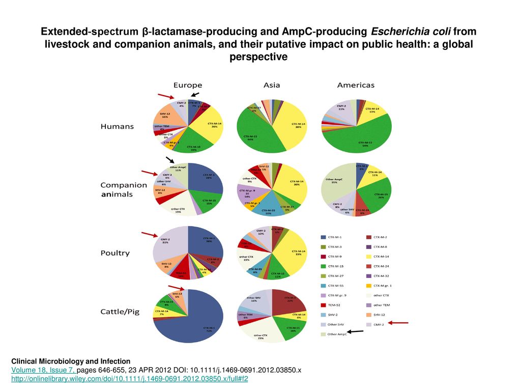 Extended‐spectrum β‐lactamase‐producing and AmpC‐producing Escherichia coli from livestock and companion animals, and their putative impact on public health: a global perspective