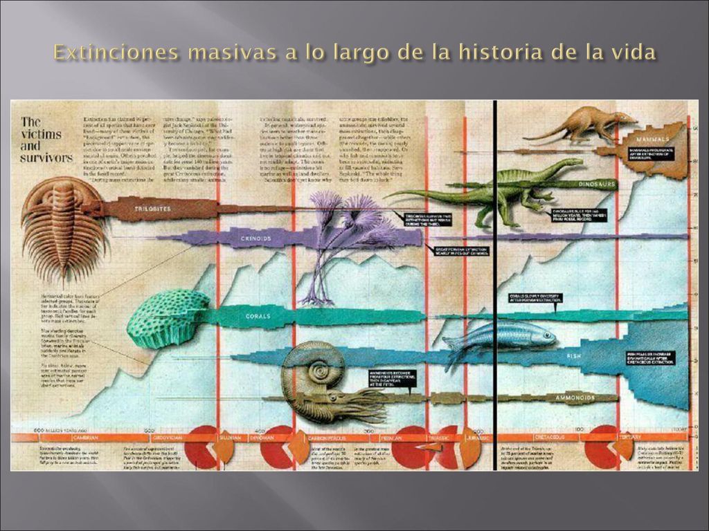 Extinciones masivas a lo largo de la historia de la vida