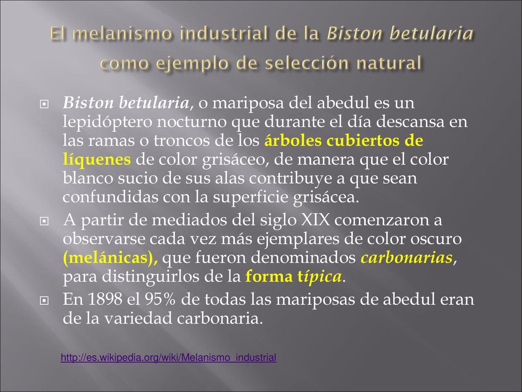 El melanismo industrial de la Biston betularia como ejemplo de selección natural