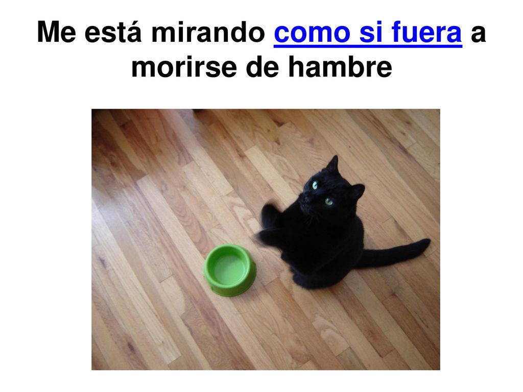 Me está mirando como si fuera a morirse de hambre