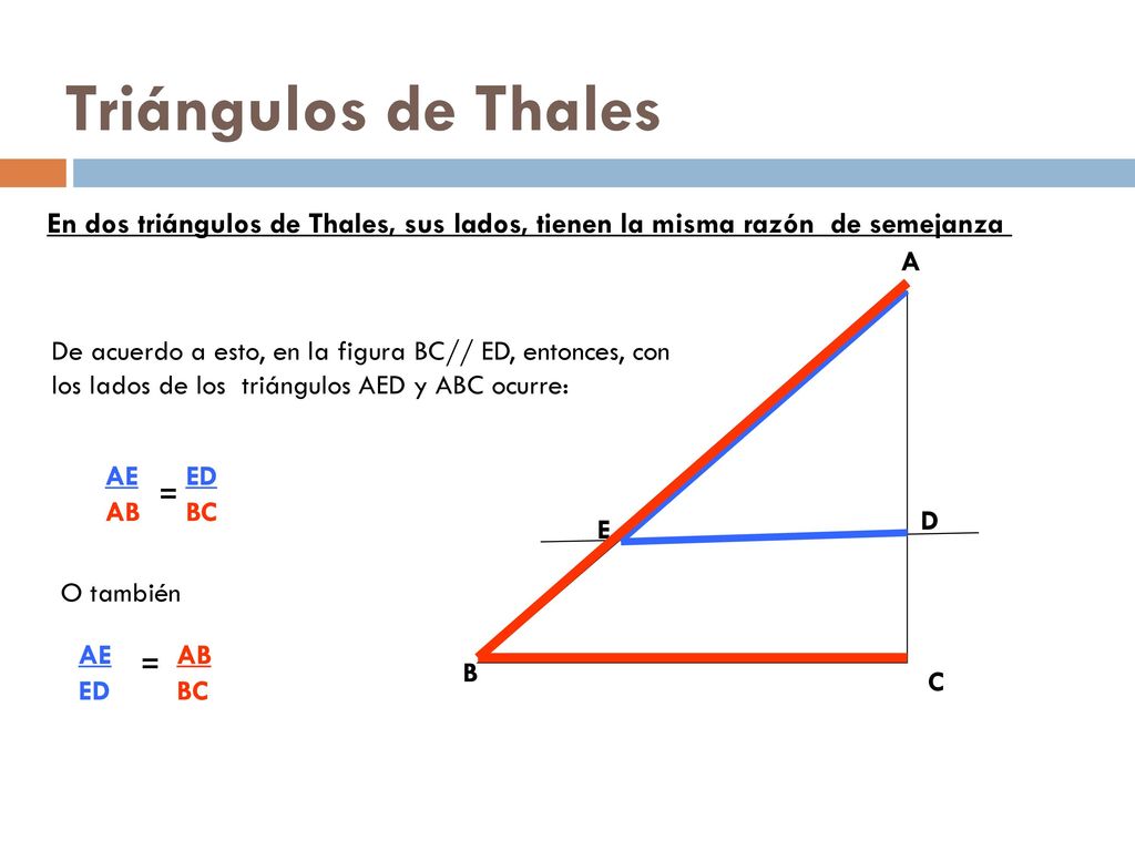 Triángulos de Thales En dos triángulos de Thales, sus lados, tienen la misma razón de semejanza B.