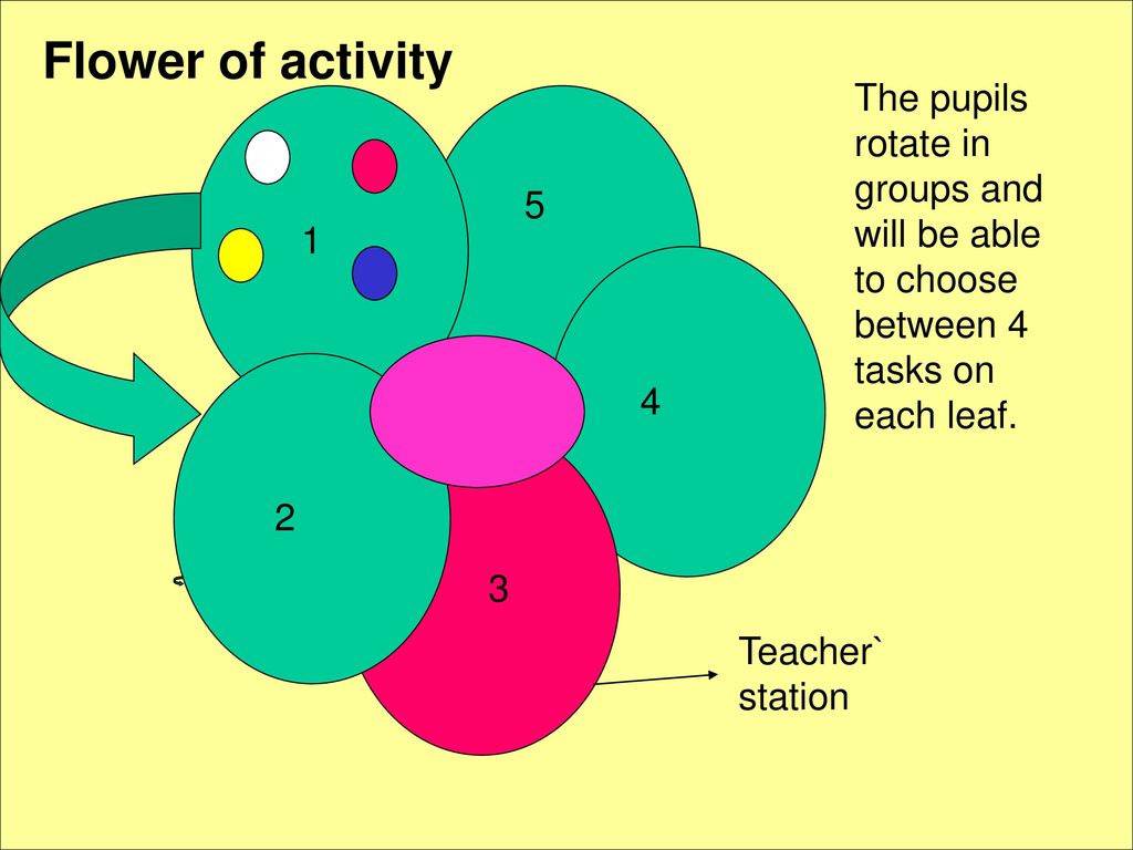 Flower of activity The pupils rotate in groups and will be able to choose between 4 tasks on each leaf.