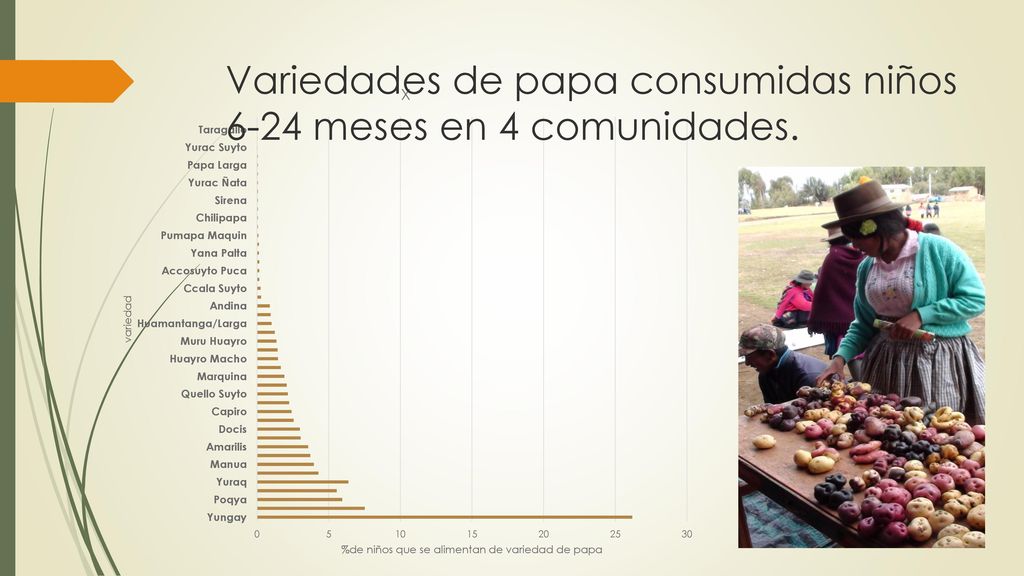 Variedades de papa consumidas niños 6-24 meses en 4 comunidades.