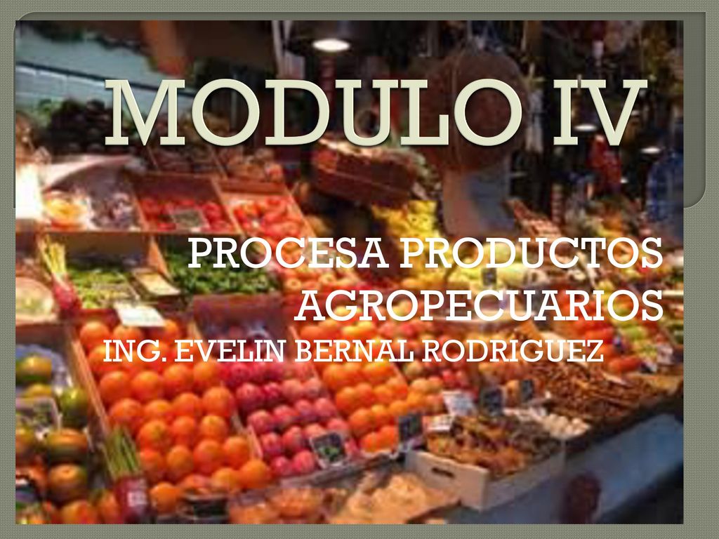 PROCESA PRODUCTOS AGROPECUARIOS ING. EVELIN BERNAL RODRIGUEZ