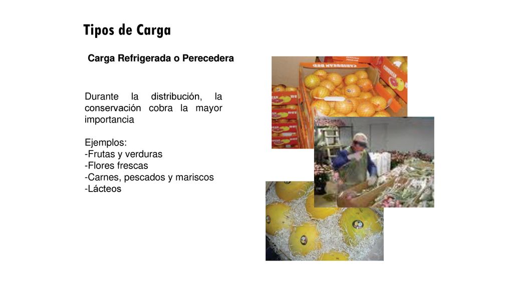Tipos de Carga Carga Refrigerada o Perecedera