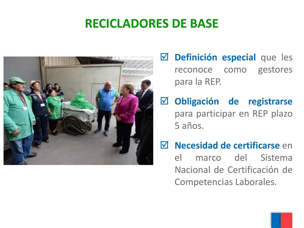 RECICLADORES DE BASE Definición especial que les reconoce como gestores para la REP.