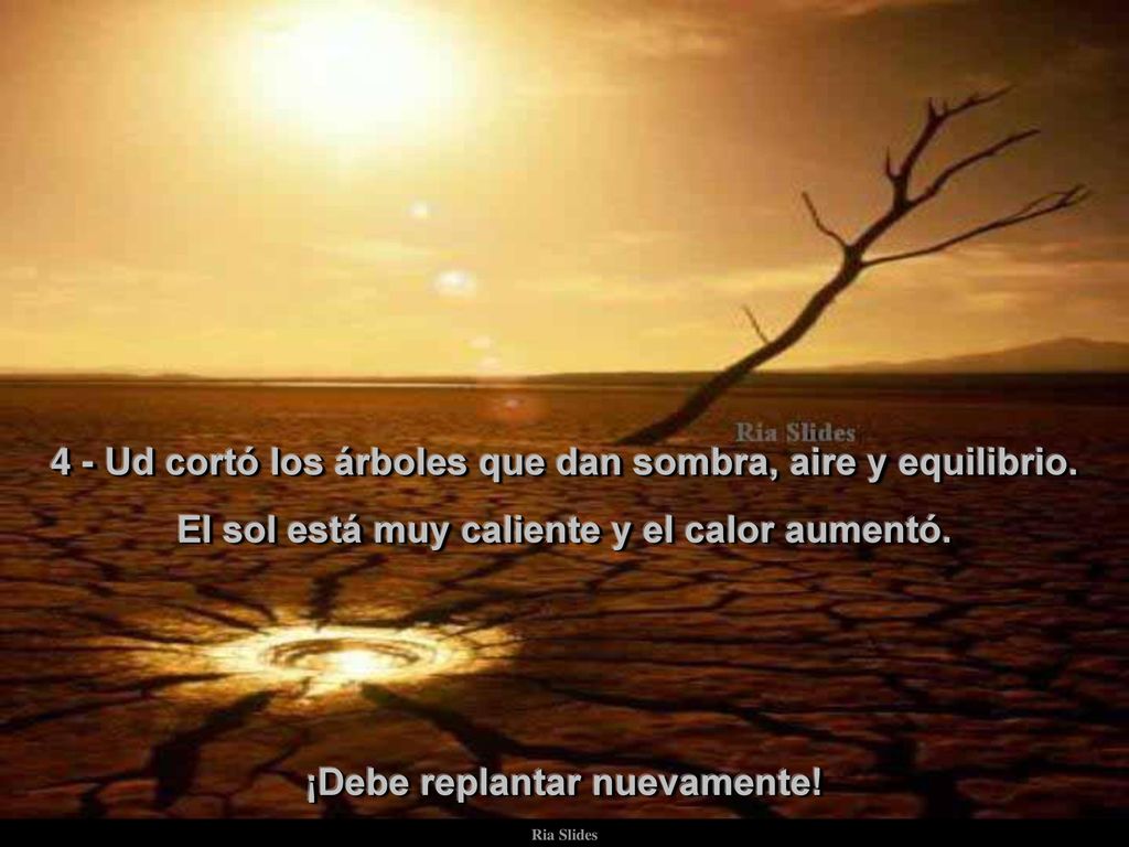 4 - Ud cortó los árboles que dan sombra, aire y equilibrio.