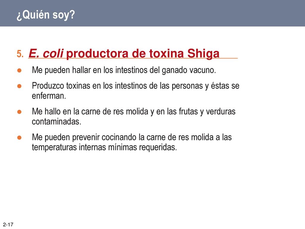 E. coli productora de toxina Shiga