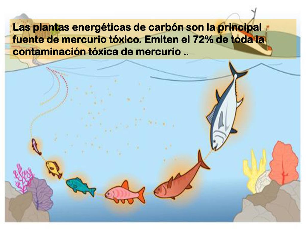 Las plantas energéticas de carbón son la principal fuente de mercurio tóxico.