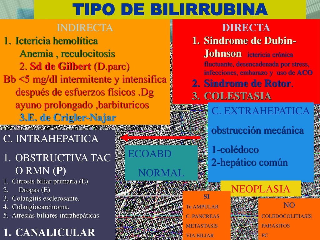 TIPO DE BILIRRUBINA INDIRECTA Ictericia hemolítica