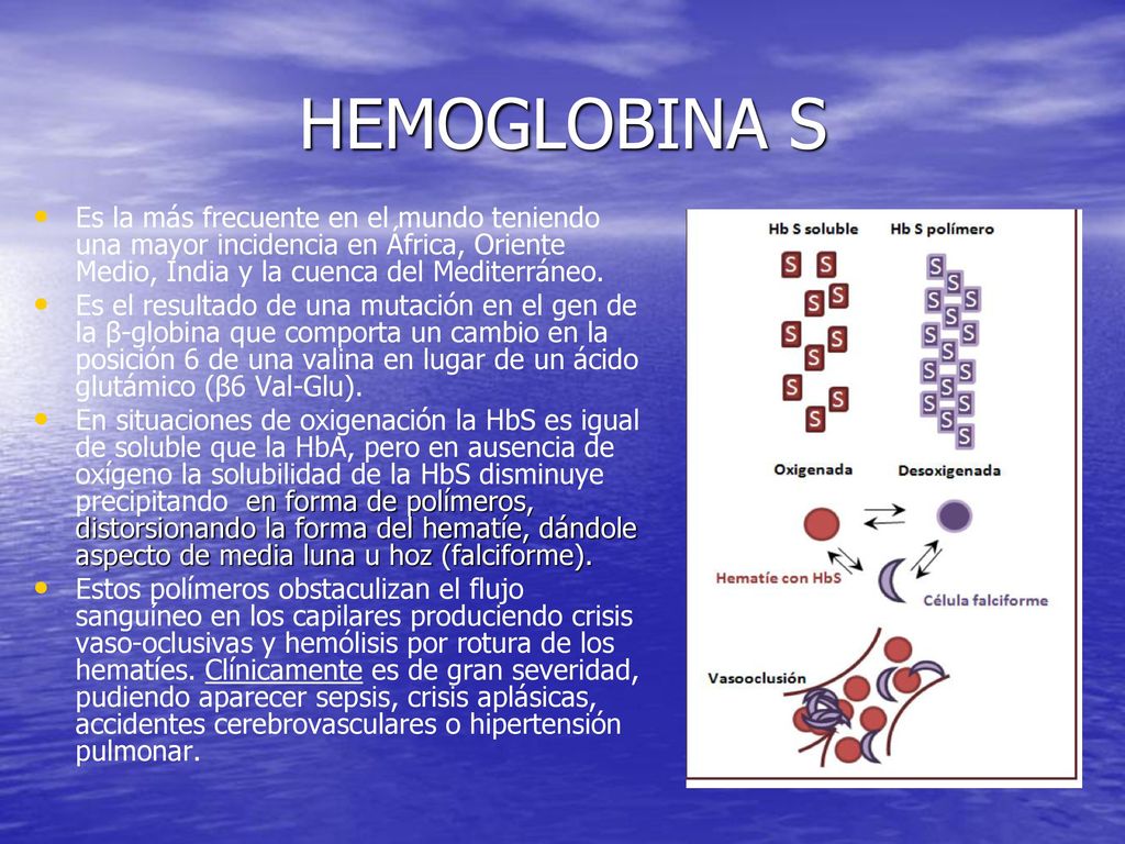 HEMOGLOBINA S Es la más frecuente en el mundo teniendo una mayor incidencia en África, Oriente Medio, India y la cuenca del Mediterráneo.