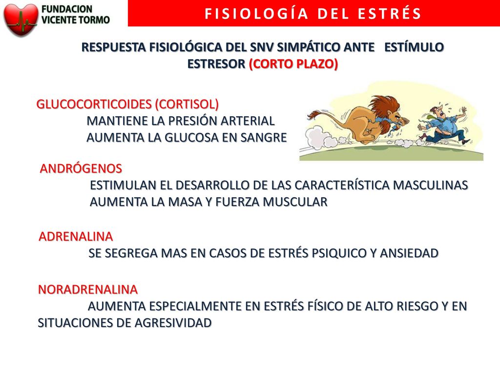 FISIOLOGÍA DEL ESTRÉS RESPUESTA FISIOLÓGICA DEL SNV SIMPÁTICO ANTE ESTÍMULO ESTRESOR (CORTO PLAZO)