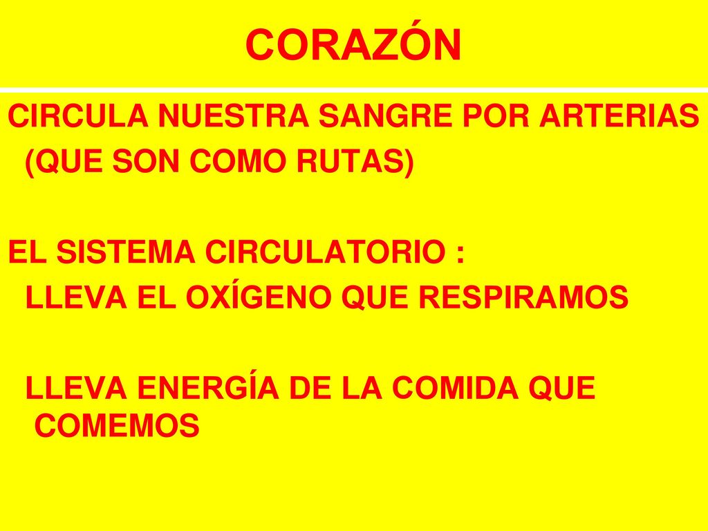 CORAZÓN CIRCULA NUESTRA SANGRE POR ARTERIAS (QUE SON COMO RUTAS)
