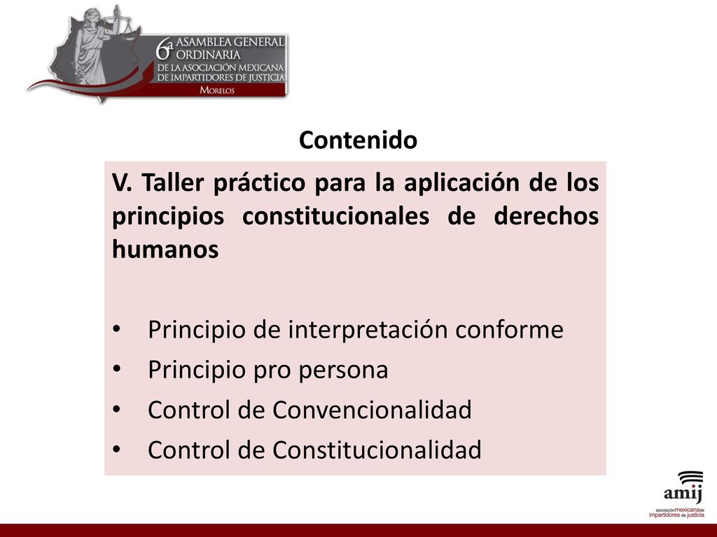 Contenido V. Taller práctico para la aplicación de los principios constitucionales de derechos humanos.
