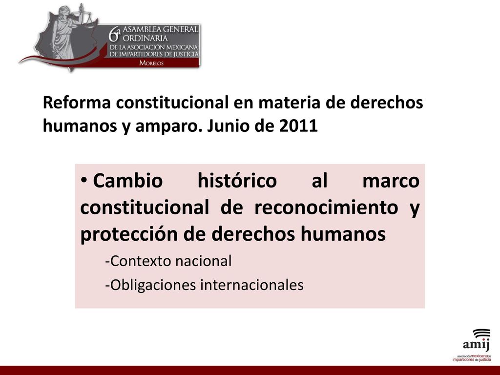 Reforma constitucional en materia de derechos humanos y amparo