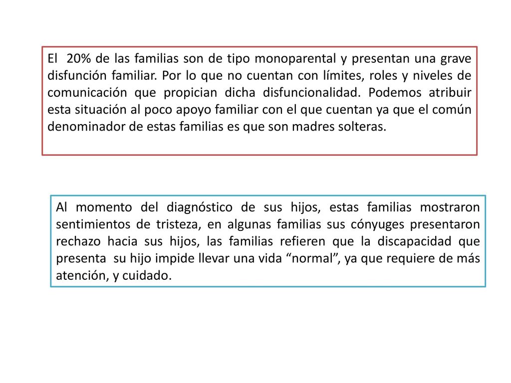 El 20% de las familias son de tipo monoparental y presentan una grave disfunción familiar. Por lo que no cuentan con límites, roles y niveles de comunicación que propician dicha disfuncionalidad. Podemos atribuir esta situación al poco apoyo familiar con el que cuentan ya que el común denominador de estas familias es que son madres solteras.