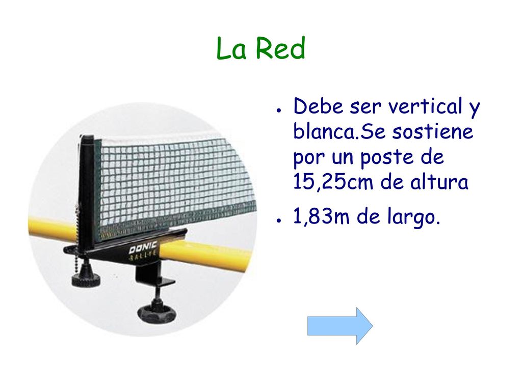 La Red Debe ser vertical y blanca.Se sostiene por un poste de 15,25cm de altura 1,83m de largo.