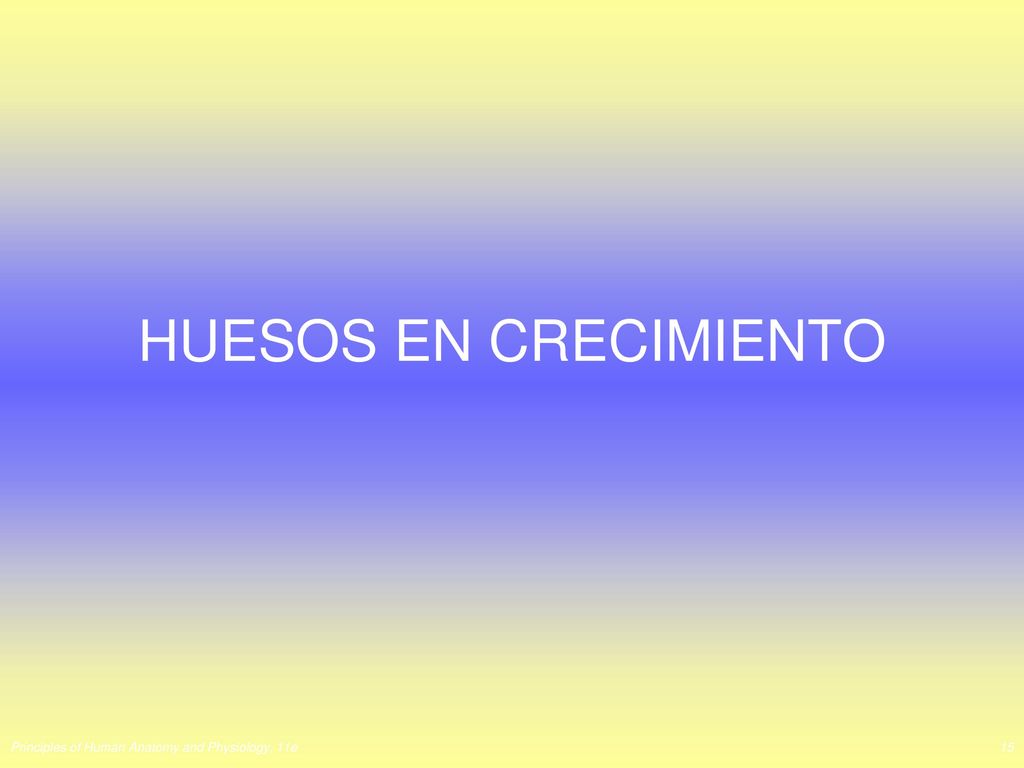 HUESOS EN CRECIMIENTO Principles of Human Anatomy and Physiology, 11e