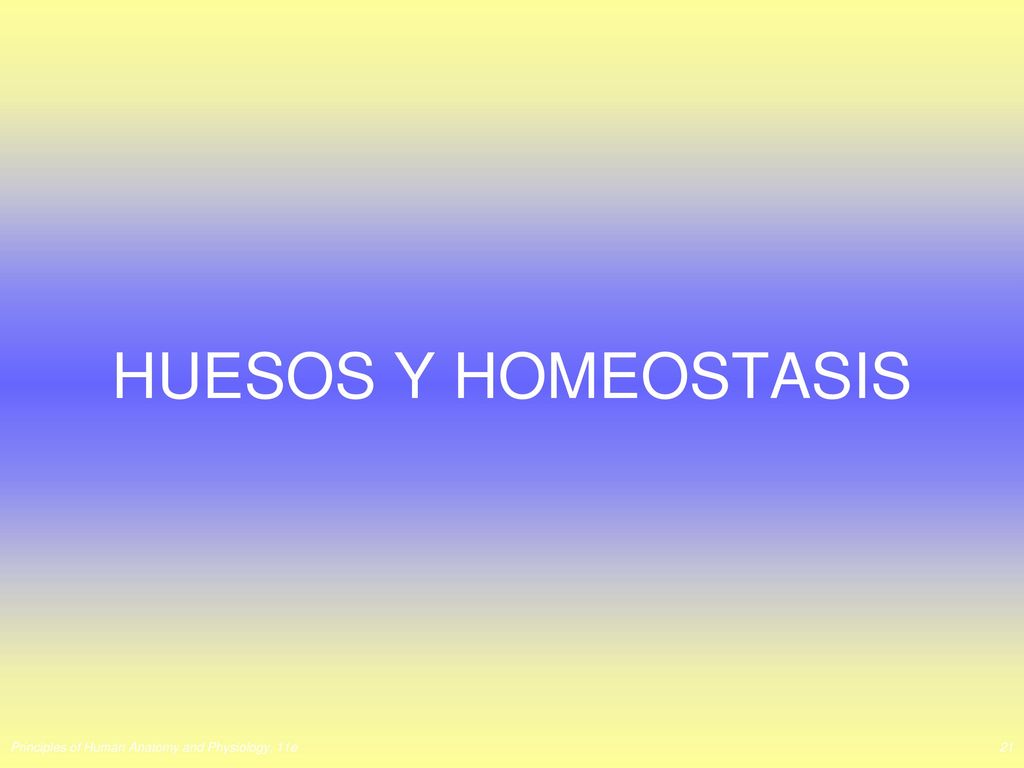 HUESOS Y HOMEOSTASIS Principles of Human Anatomy and Physiology, 11e