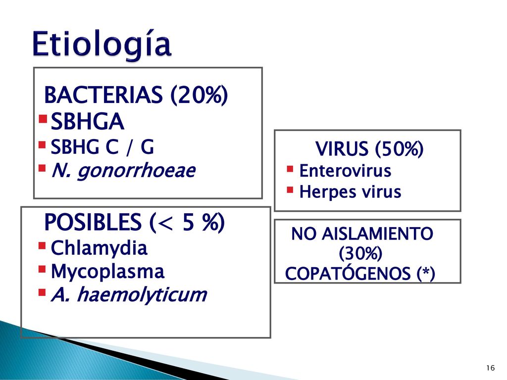 Etiología BACTERIAS (20%) SBHGA POSIBLES (< 5 %) SBHG C / G