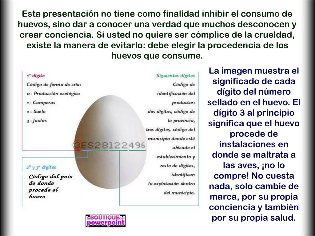 Esta presentación no tiene como finalidad inhibir el consumo de huevos, sino dar a conocer una verdad que muchos desconocen y crear conciencia. Si usted no quiere ser cómplice de la crueldad, existe la manera de evitarlo: debe elegir la procedencia de los huevos que consume.