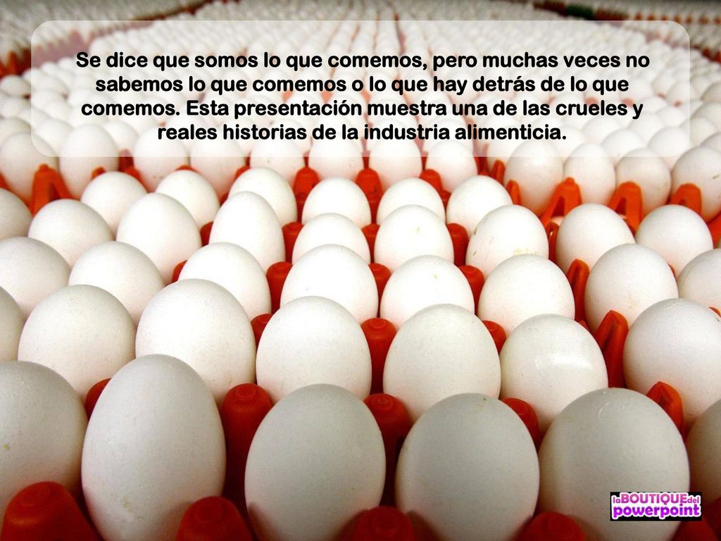 Se dice que somos lo que comemos, pero muchas veces no sabemos lo que comemos o lo que hay detrás de lo que comemos.