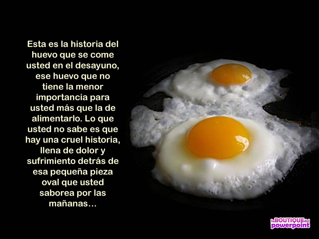 Esta es la historia del huevo que se come usted en el desayuno, ese huevo que no tiene la menor importancia para usted más que la de alimentarlo.