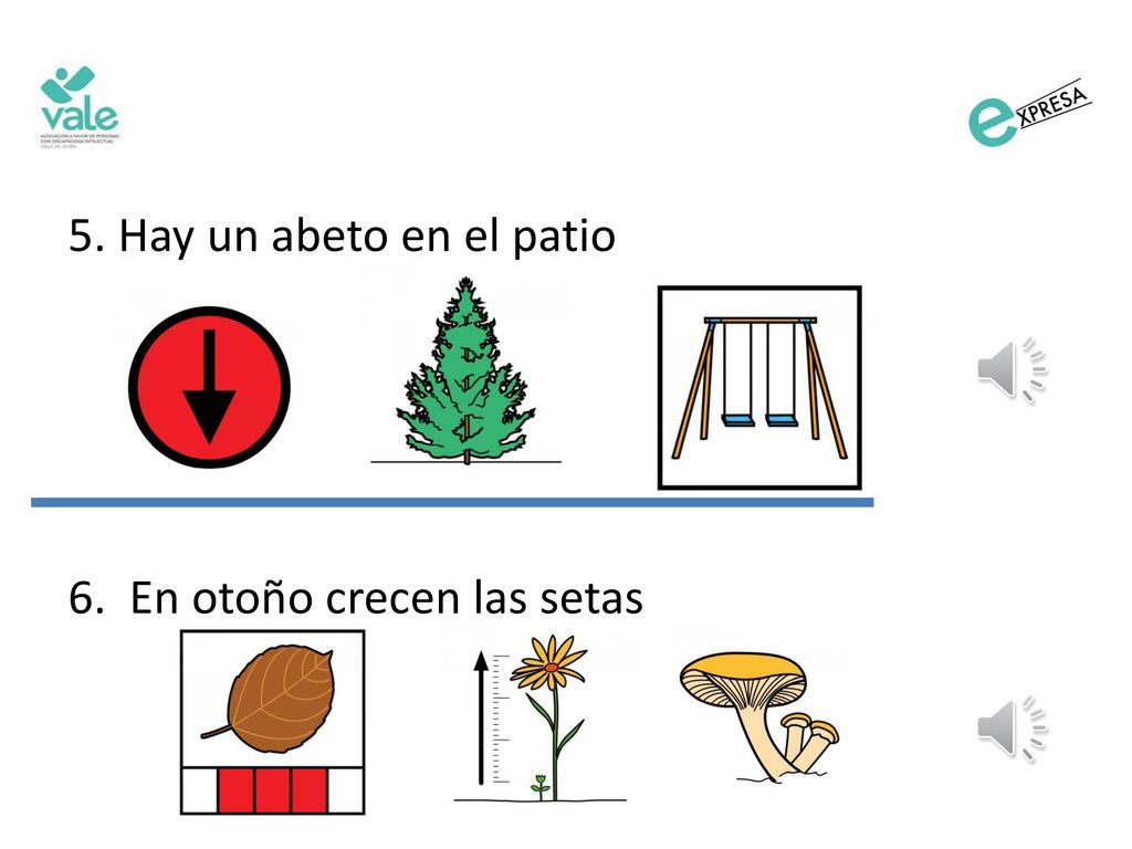 5. Hay un abeto en el patio 6. En otoño crecen las setas