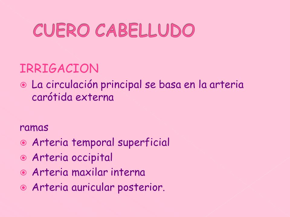 CUERO CABELLUDO, PABELLÓN AURICULAR Y CARA - ppt descargar