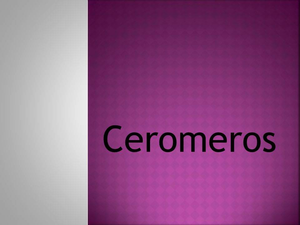 Ceromeros