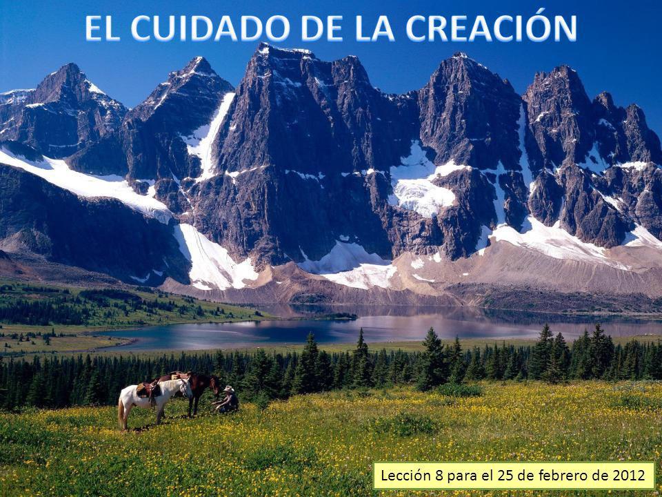 EL CUIDADO DE LA CREACIÓN