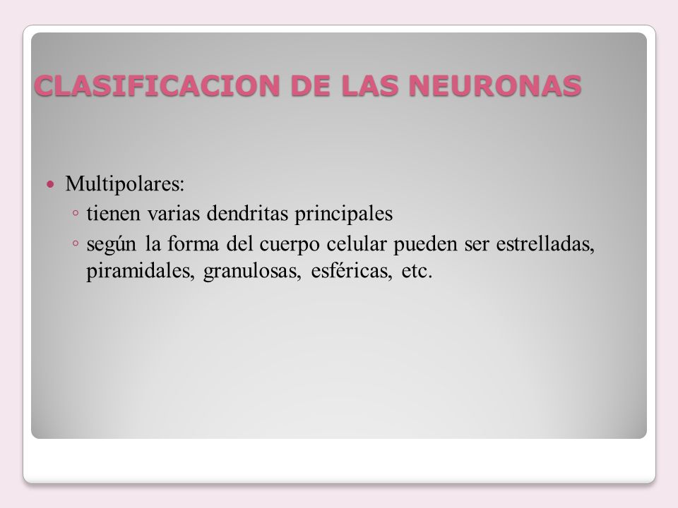 CLASIFICACION DE LAS NEURONAS