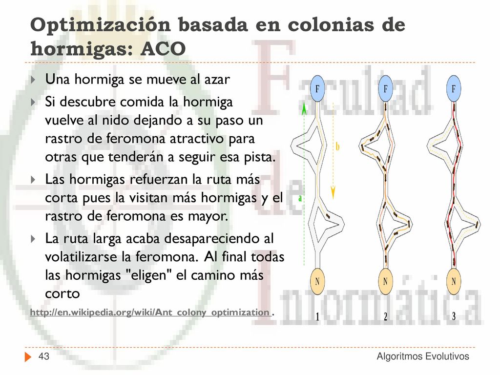ACO para el TSP En cada iteración se lanza una colonia de m hormigas y cada hormiga construye una solución al problema.