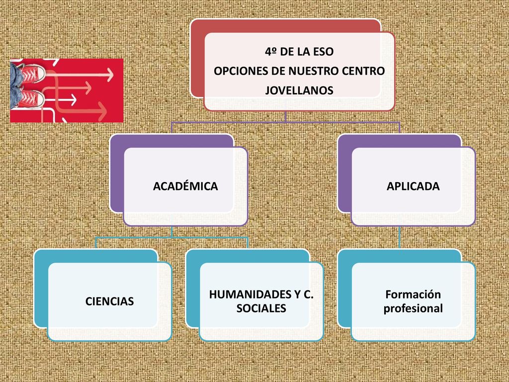 OPCIONES DE NUESTRO CENTRO JOVELLANOS 4º DE LA ESO ACADÉMICA CIENCIAS