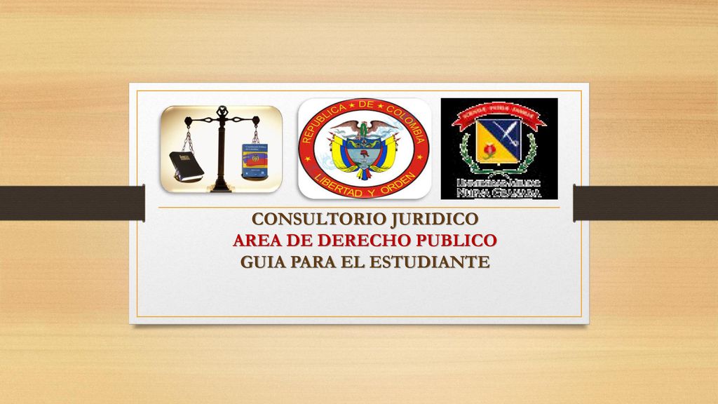 CONSULTORIO JURIDICO AREA DE DERECHO PUBLICO GUIA PARA EL ESTUDIANTE