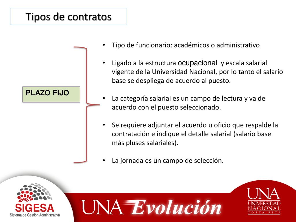 Tipos de contratos Tipo de funcionario: académicos o administrativo
