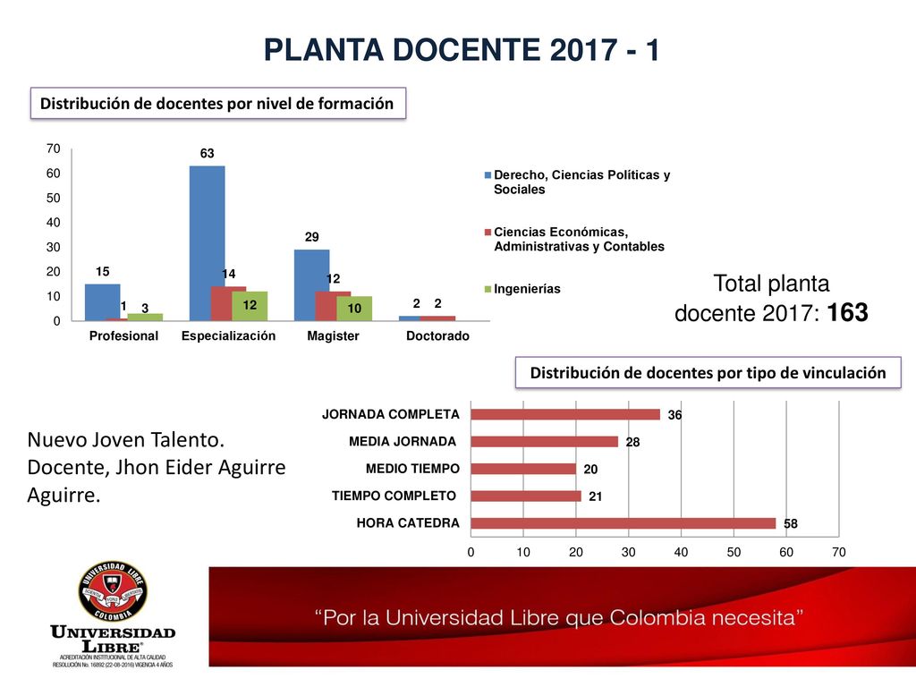 Distribución de docentes por tipo de vinculación