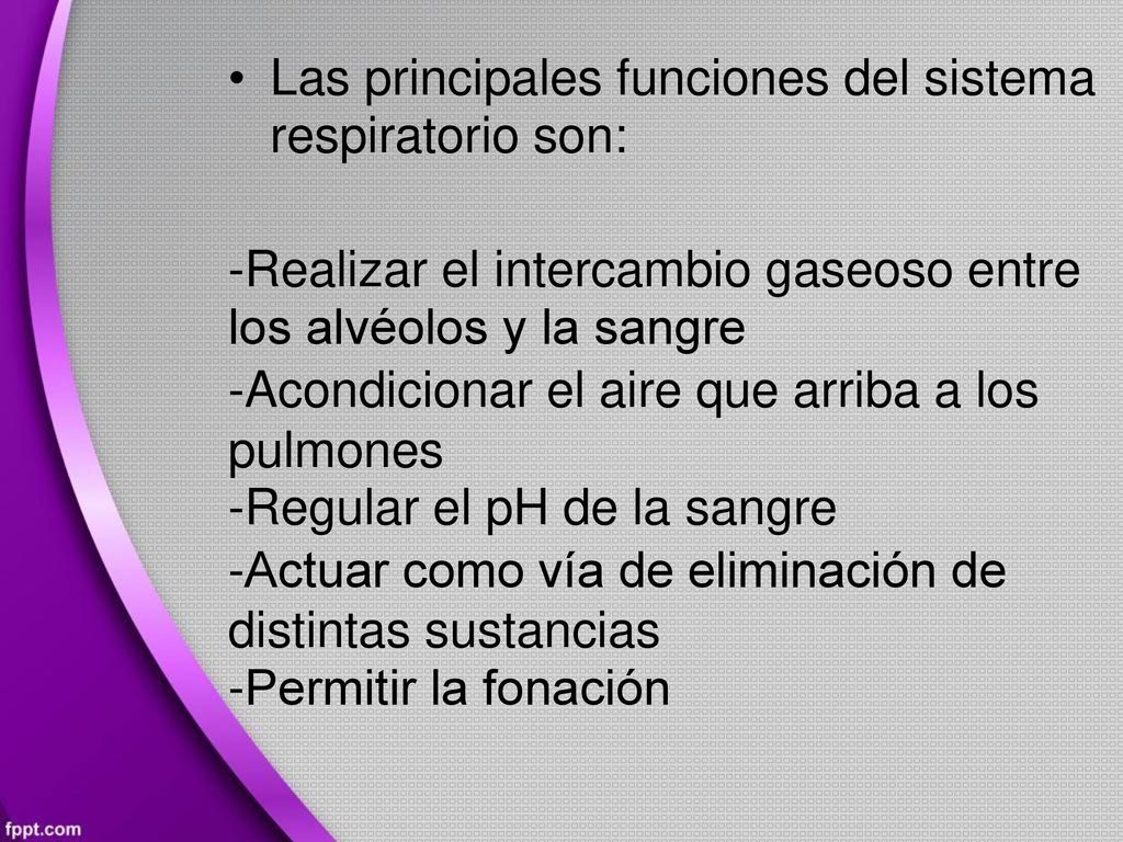 • Las principales funciones del sistema. respiratorio son: -Realizar el intercambio gaseoso entre.