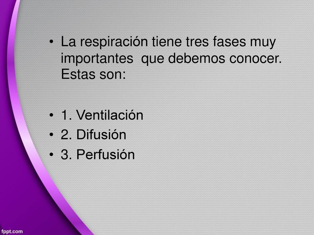 • La respiración tiene tres fases muy. importantes. Estas son: que. debemos. conocer. •