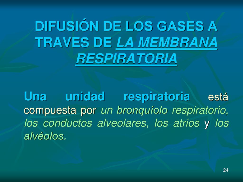 DIFUSIÓN DE LOS GASES A TRAVES DE LA MEMBRANA RESPIRATORIA