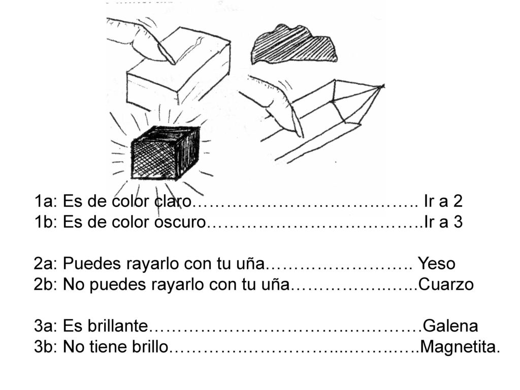 1a: Es de color claro…………………….…….…….. Ir a 2