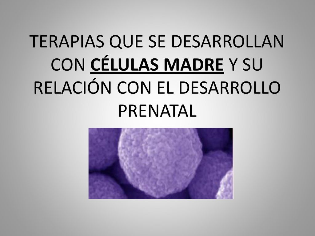 TERAPIAS QUE SE DESARROLLAN CON CÉLULAS MADRE Y SU RELACIÓN CON EL DESARROLLO PRENATAL